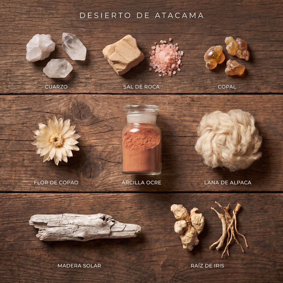 DESIERTO DE ATACAMA